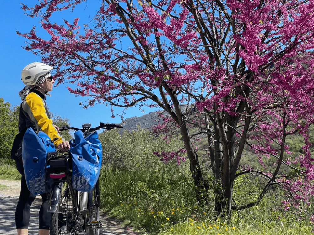 north-corsica-by-bike-gt20-bastia-to-calvi